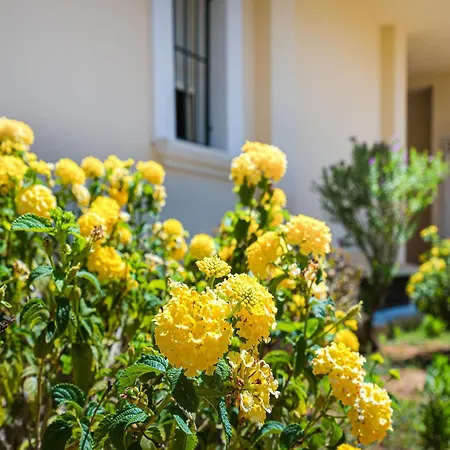 Beachside * דניה